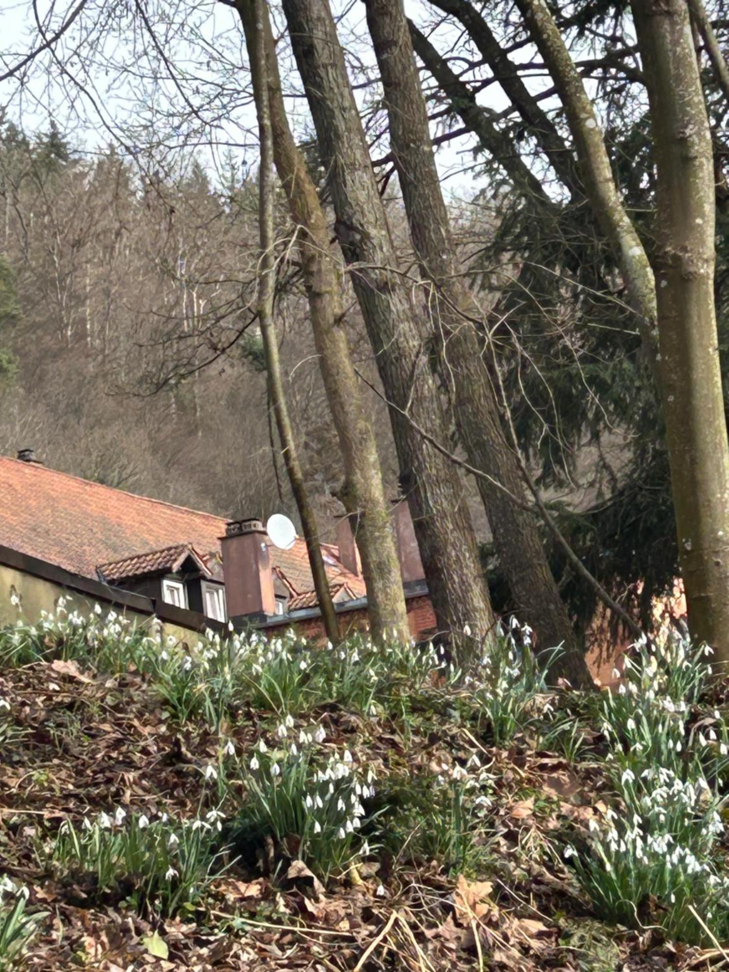 Villa Am Fluss Pforzheim Esterno foto