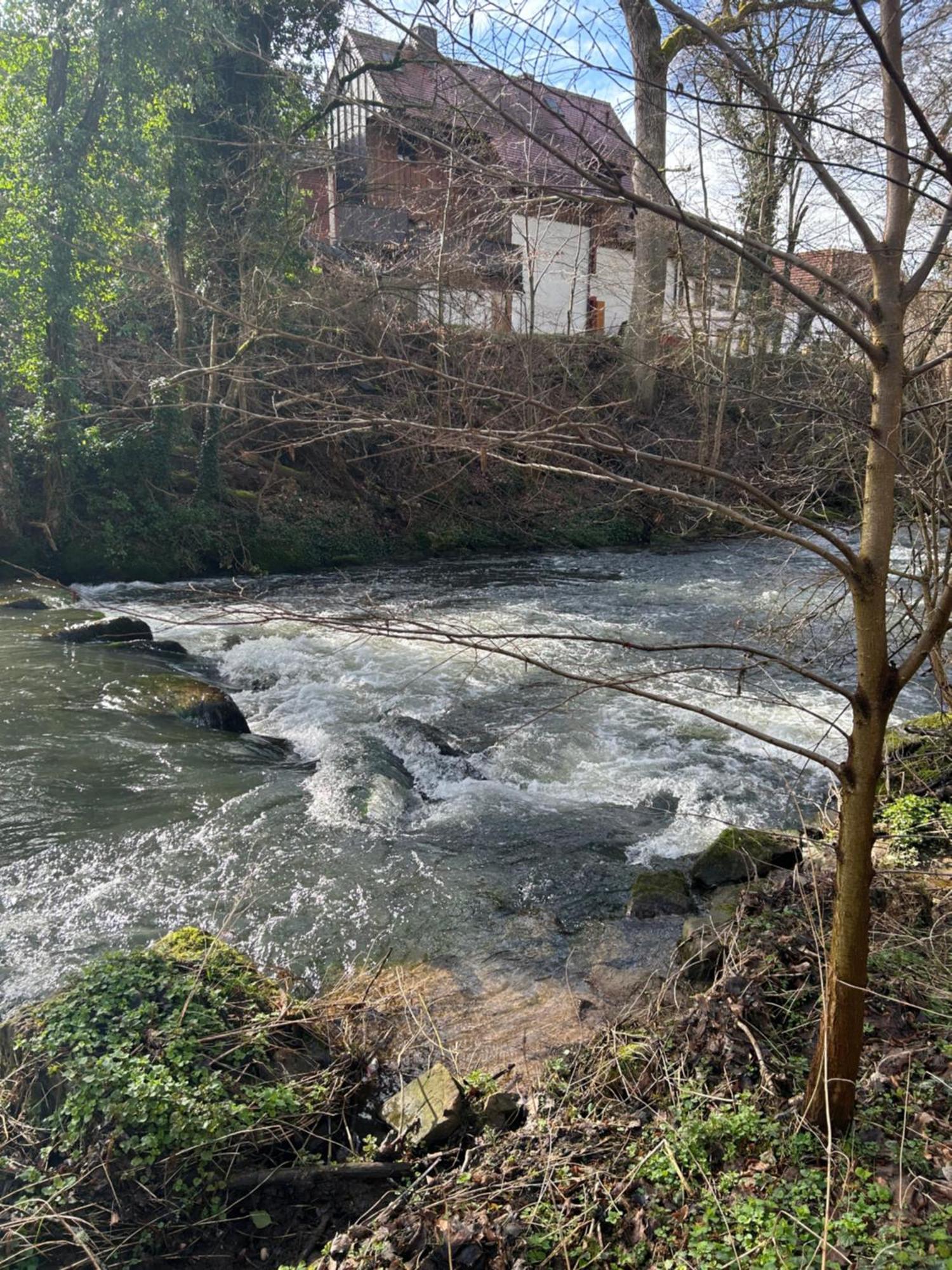 Villa Am Fluss Pforzheim Esterno foto