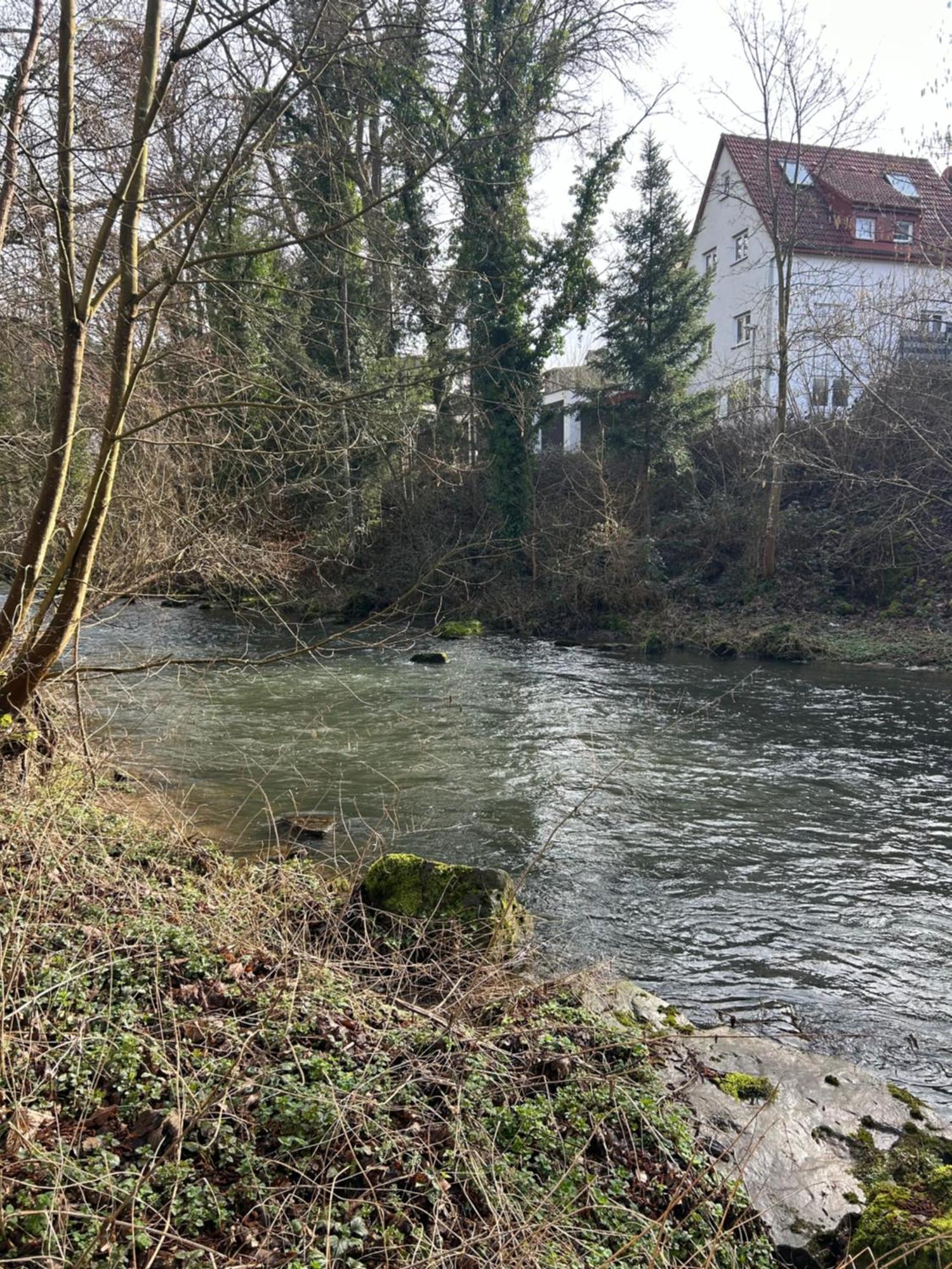 Villa Am Fluss Pforzheim Esterno foto