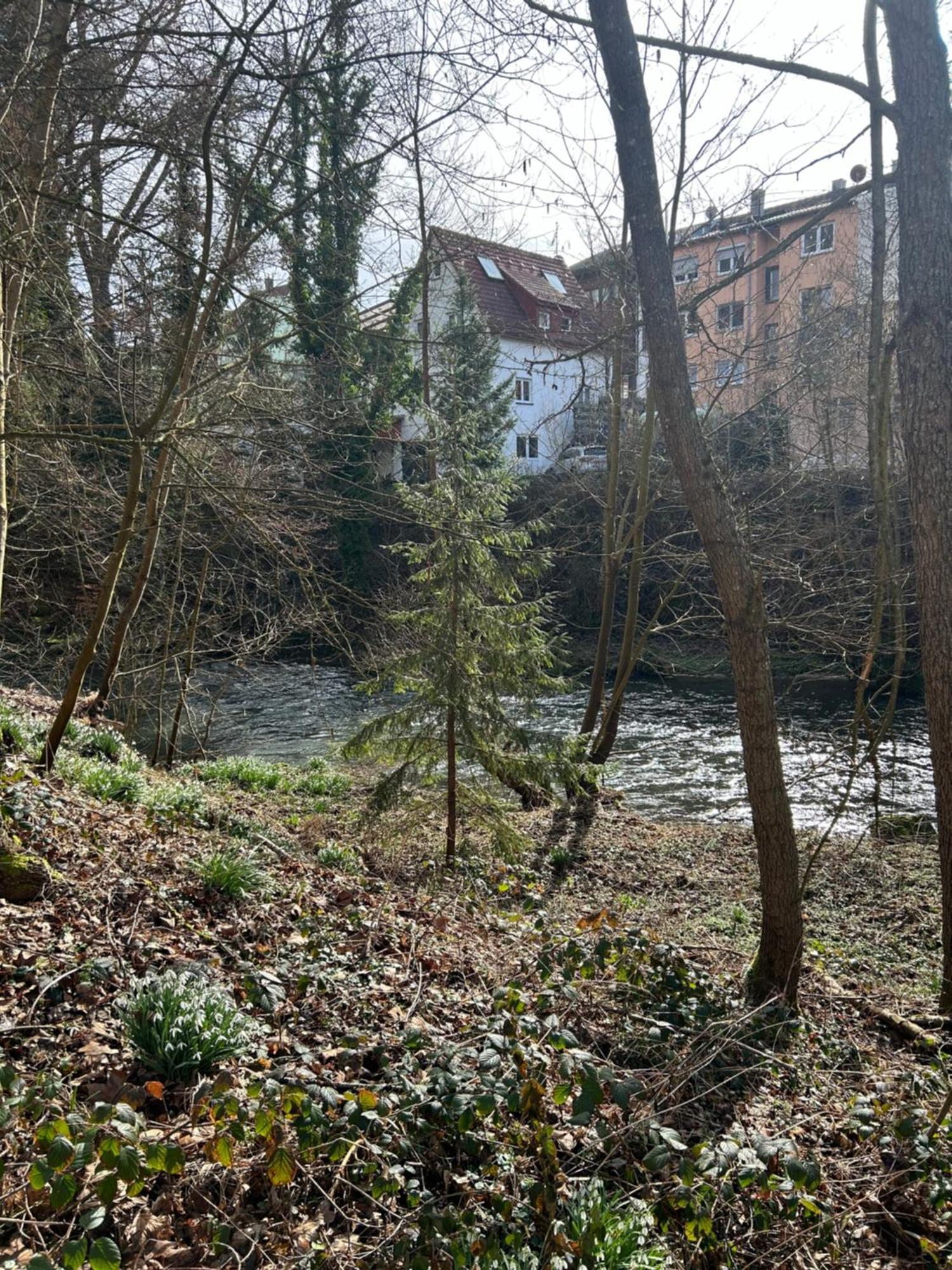 Villa Am Fluss Pforzheim Esterno foto